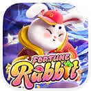 7-rabbit.com ícone